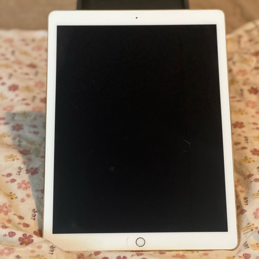 Apple 2nd generation iPad Pro 12.9 inch 64 GB with 1st generation Apple Pencil